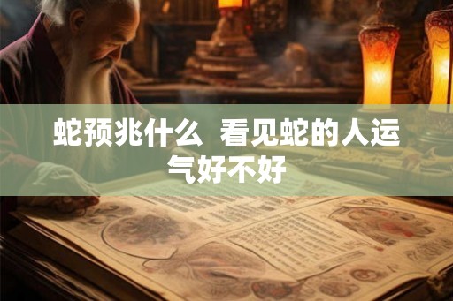 蛇预兆什么  看见蛇的人运气好不好