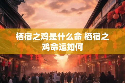 栖宿之鸡是什么命 栖宿之鸡命运如何 栖宿之鸡是什么命 栖宿之鸡命运如何