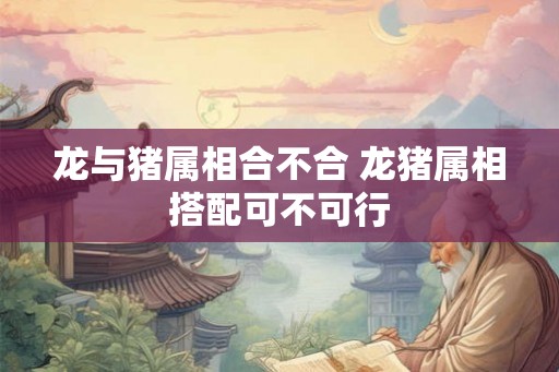 龙与猪属相合不合 龙猪属相搭配可不可行