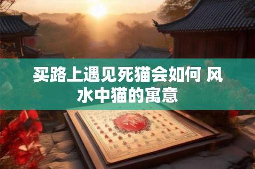 买路上遇见死猫会如何 风水中猫的寓意