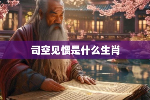 司空见惯是什么生肖
