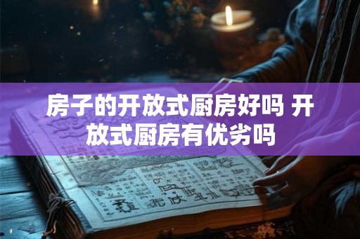 房子的开放式厨房好吗 开放式厨房有优劣吗