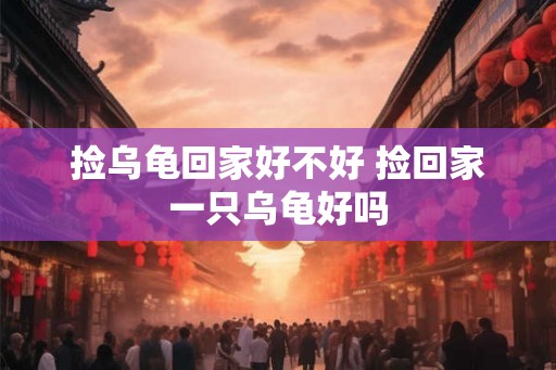 捡乌龟回家好不好 捡回家一只乌龟好吗