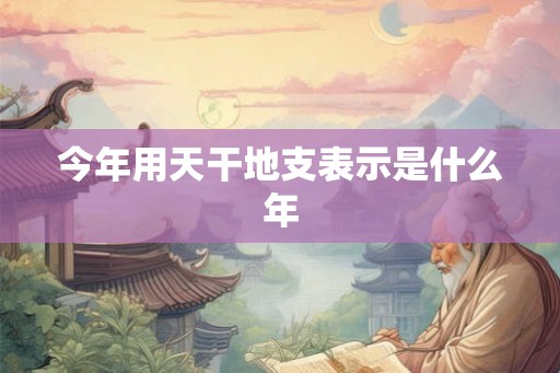 今年用天干地支表示是什么年