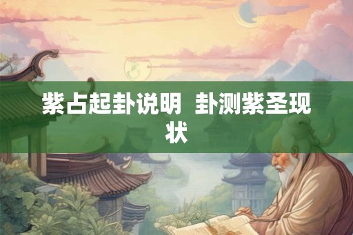 紫占起卦说明  卦测紫圣现状