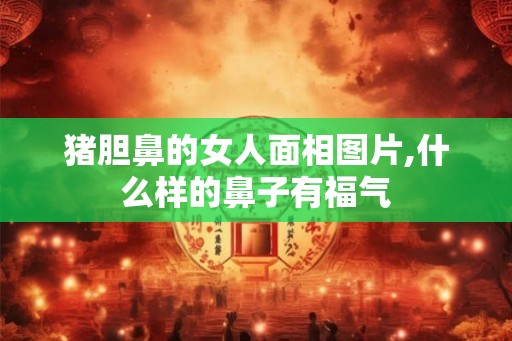 猪胆鼻的女人面相图片,什么样的鼻子有福气