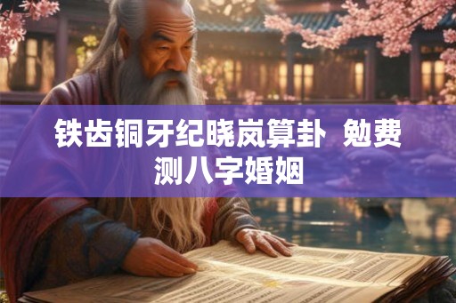 铁齿铜牙纪晓岚算卦 勉费测八字婚姻 铁齿铜牙纪晓岚算卦 勉费测八字婚姻