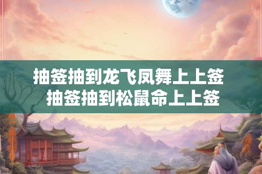 抽签抽到龙飞凤舞上上签  抽签抽到松鼠命上上签