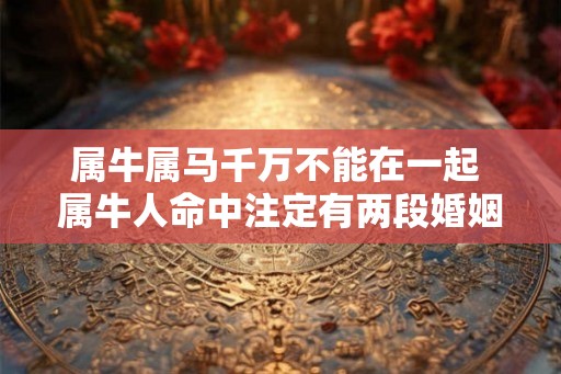 属牛属马千万不能在一起 属牛人命中注定有两段婚姻