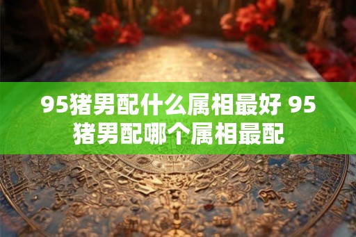 95猪男配什么属相最好 95猪男配哪个属相最配