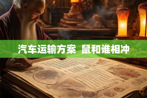 汽车运输方案  鼠和谁相冲