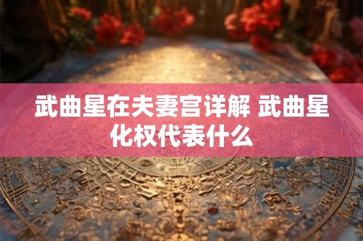 武曲星在夫妻宫详解 武曲星化权代表什么