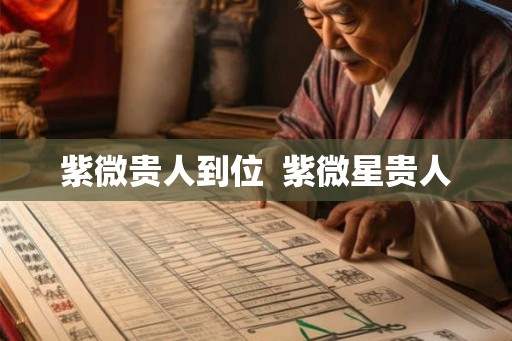 紫微贵人到位  紫微星贵人