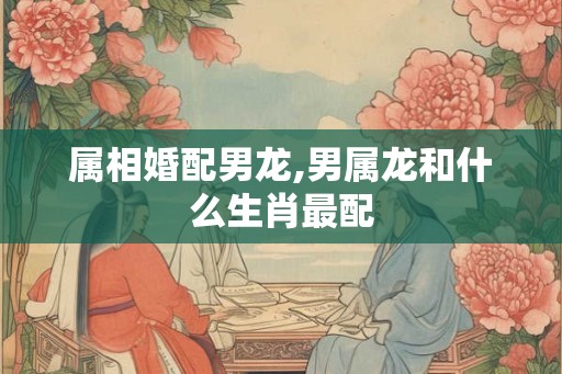 属相婚配男龙,男属龙和什么生肖最配