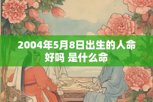 2004年5月8日出生的人命好吗 是什么命