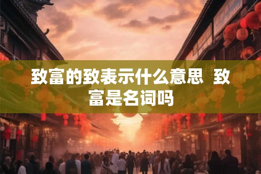 致富的致表示什么意思  致富是名词吗