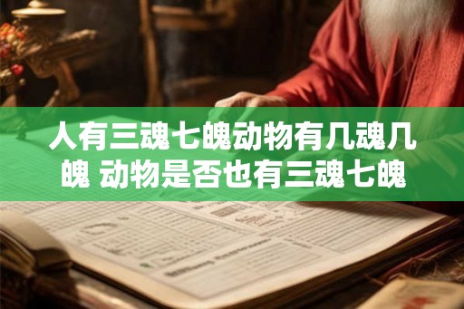 人有三魂七魄动物有几魂几魄 动物是否也有三魂七魄