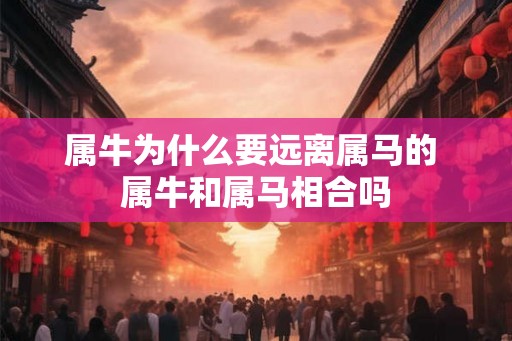属牛为什么要远离属马的 属牛和属马相合吗