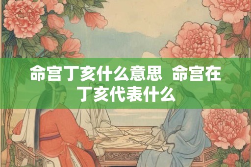 命宫丁亥什么意思  命宫在丁亥代表什么