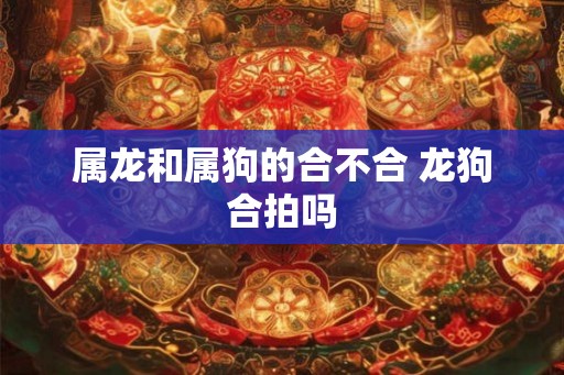 属龙和属狗的合不合 龙狗合拍吗