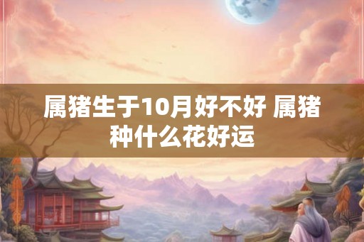 属猪生于10月好不好 属猪种什么花好运