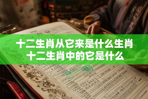 十二生肖从它来是什么生肖 十二生肖中的它是什么