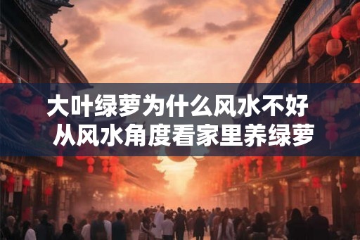 大叶绿萝为什么风水不好  从风水角度看家里养绿萝好不好