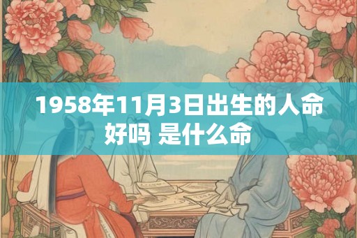 1958年11月3日出生的人命好吗 是什么命