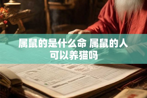 属鼠的是什么命 属鼠的人可以养猫吗