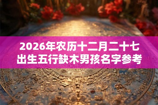 2026年农历十二月二十七出生五行缺木男孩名字参考