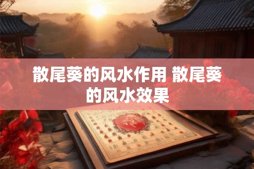 散尾葵的风水作用 散尾葵的风水效果