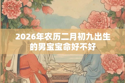2026年农历二月初九出生的男宝宝命好不好