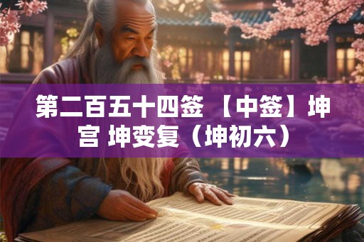 第二百五十四签 【中签】坤宫 坤变复（坤初六）