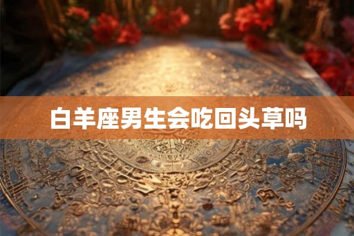 白羊座男生会吃回头草吗