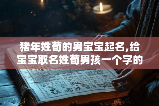 猪年姓荀的男宝宝起名,给宝宝取名姓荀男孩一个字的
