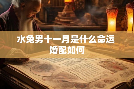 水兔男十一月是什么命运 婚配如何