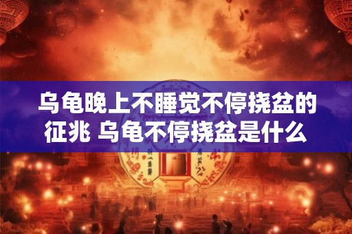 乌龟晚上不睡觉不停挠盆的征兆 乌龟不停挠盆是什么原因
