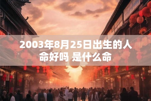 2003年8月25日出生的人命好吗 是什么命