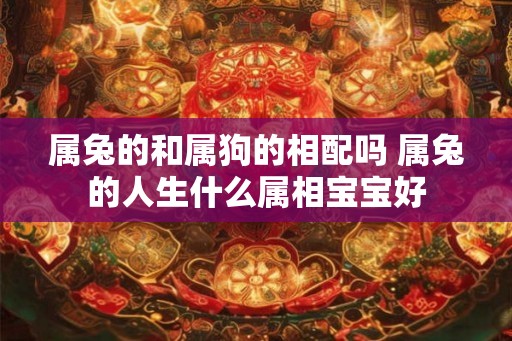 属兔的和属狗的相配吗 属兔的人生什么属相宝宝好 属兔的和属狗的相配吗 属兔的人生什么属相宝宝好