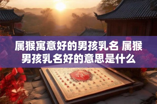 属猴寓意好的男孩乳名 属猴男孩乳名好的意思是什么 属猴寓意好的男孩乳名 属猴男孩乳名好的意思是什么