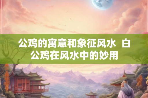 公鸡的寓意和象征风水 白公鸡在风水中的妙用 公鸡的寓意和象征风水 白公鸡在风水中的妙用
