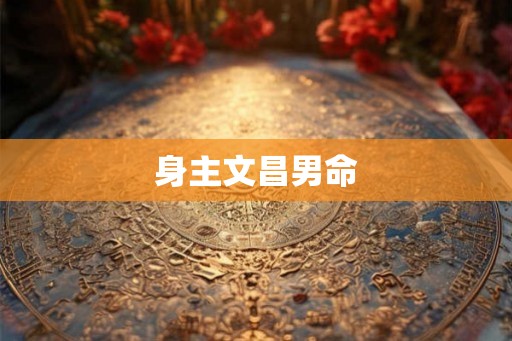 身主文昌男命
