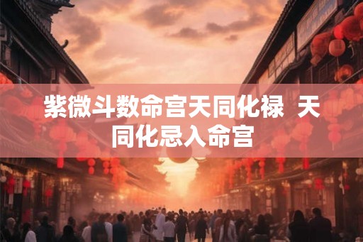 紫微斗数命宫天同化禄  天同化忌入命宫