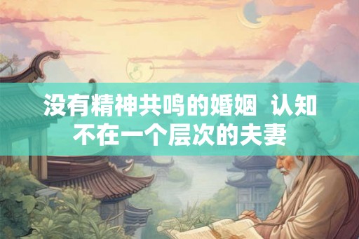 没有精神共鸣的婚姻  认知不在一个层次的夫妻