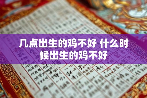 几点出生的鸡不好 什么时候出生的鸡不好