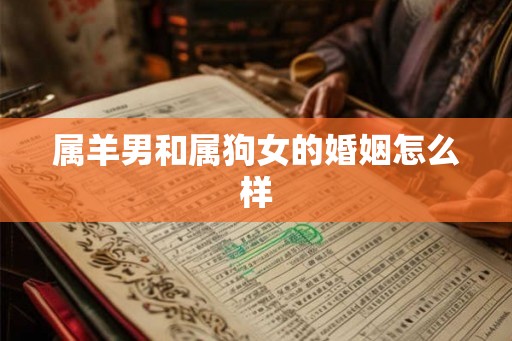 属羊男和属狗女的婚姻怎么样