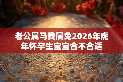 老公属马我属兔2026年虎年怀孕生宝宝合不合适