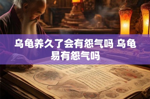 乌龟养久了会有怨气吗 乌龟易有怨气吗