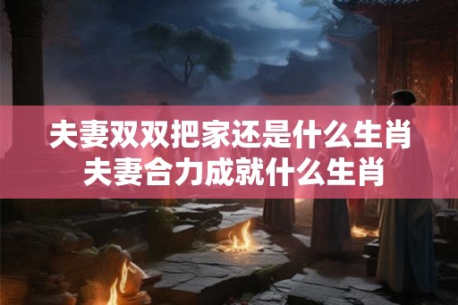 夫妻双双把家还是什么生肖 夫妻合力成就什么生肖