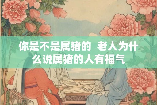 你是不是属猪的  老人为什么说属猪的人有福气